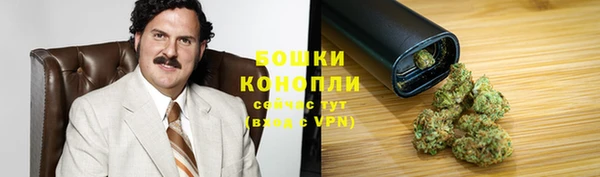 дживик Зеленодольск