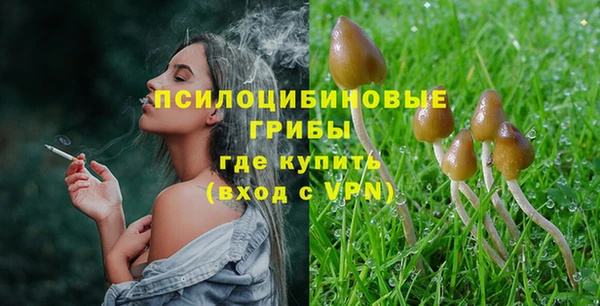 спиды Аркадак