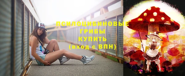 кокс Гатчина