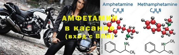трава Гвардейск